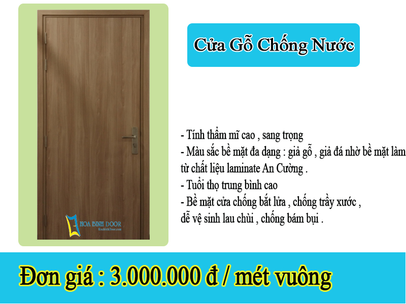 cửa gỗ chống nước 1